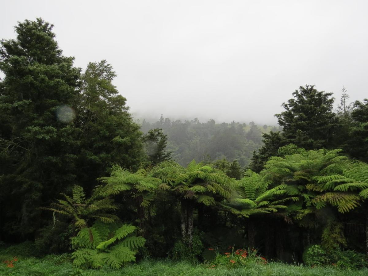 Crown Ridge Miners Cottage Karangahake Extérieur photo