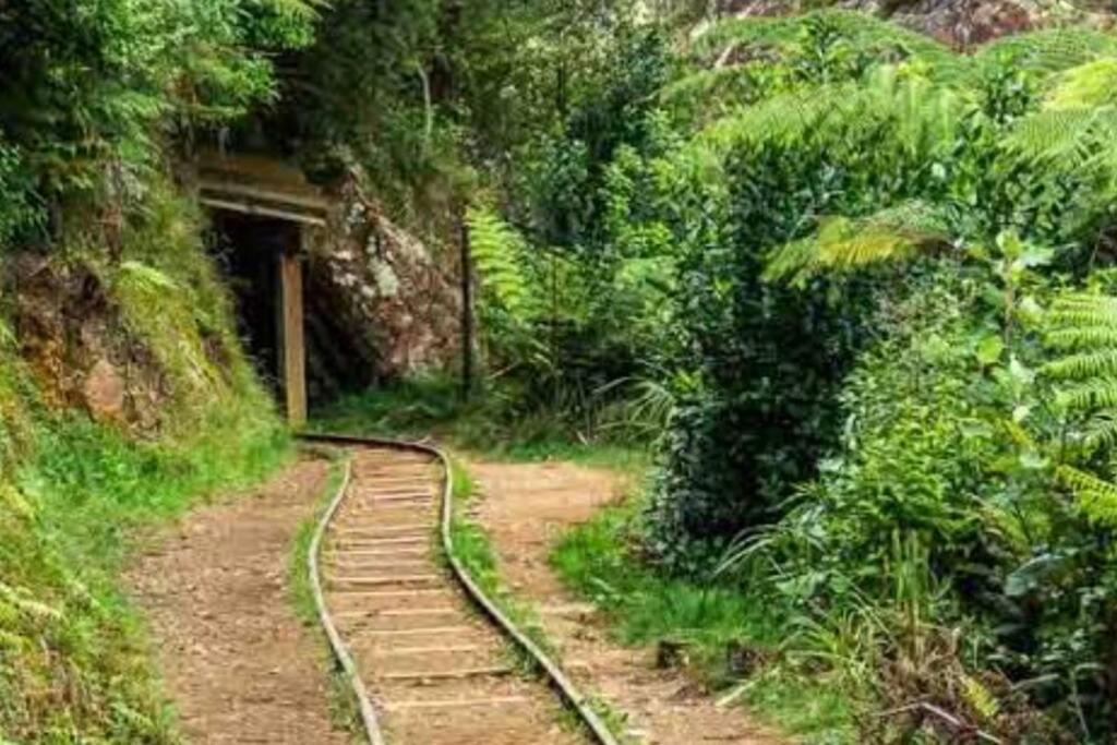 Crown Ridge Miners Cottage Karangahake Extérieur photo